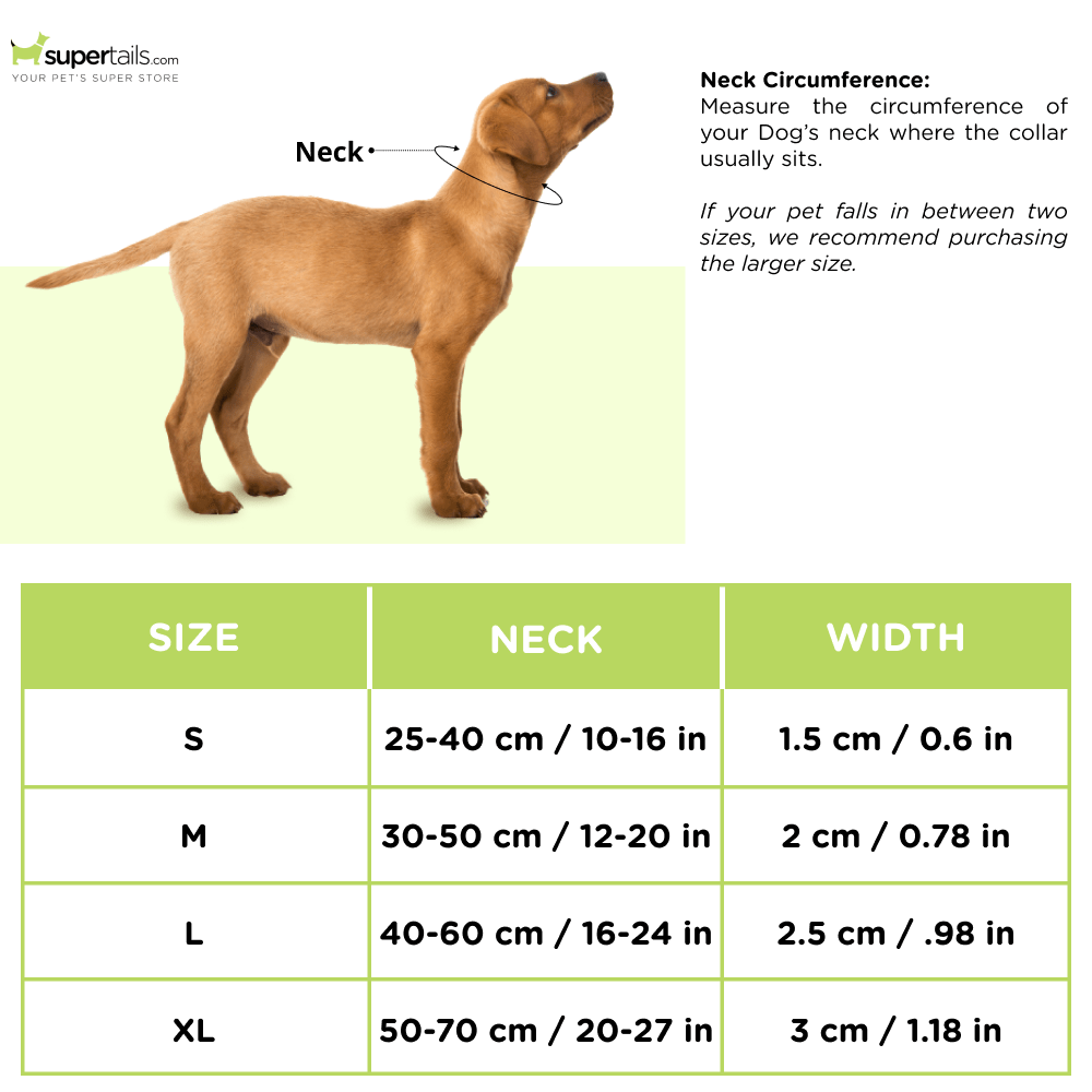 Basil Adjustable Padded Collar for Dogs (Purple/Blue)