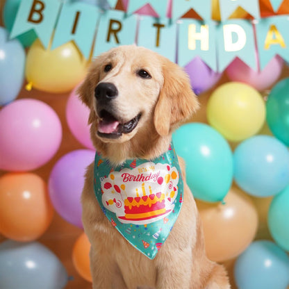 Birthday Dog Bandana - Teal