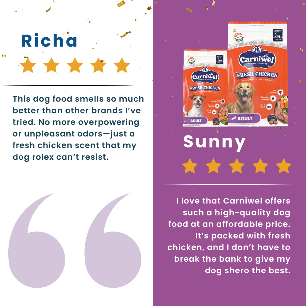 Carniwel Fresh Chicken Kibble Small Breed Adult Dog Dry Food