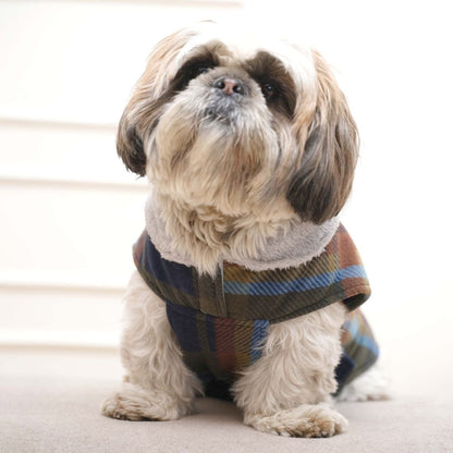 Checks - Multi Dog Jacket