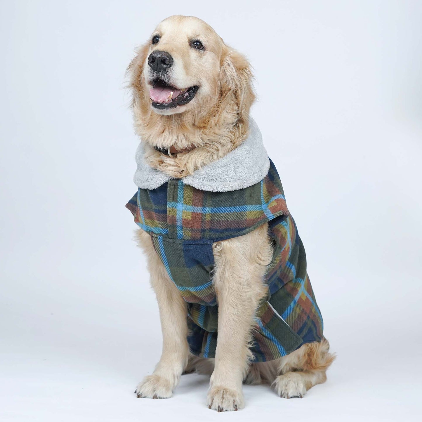 Checks - Multi Dog Jacket