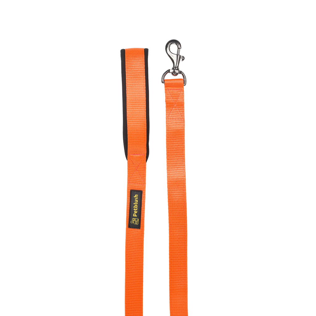 Petblush Classic Double Stitched Padded Handle Leash