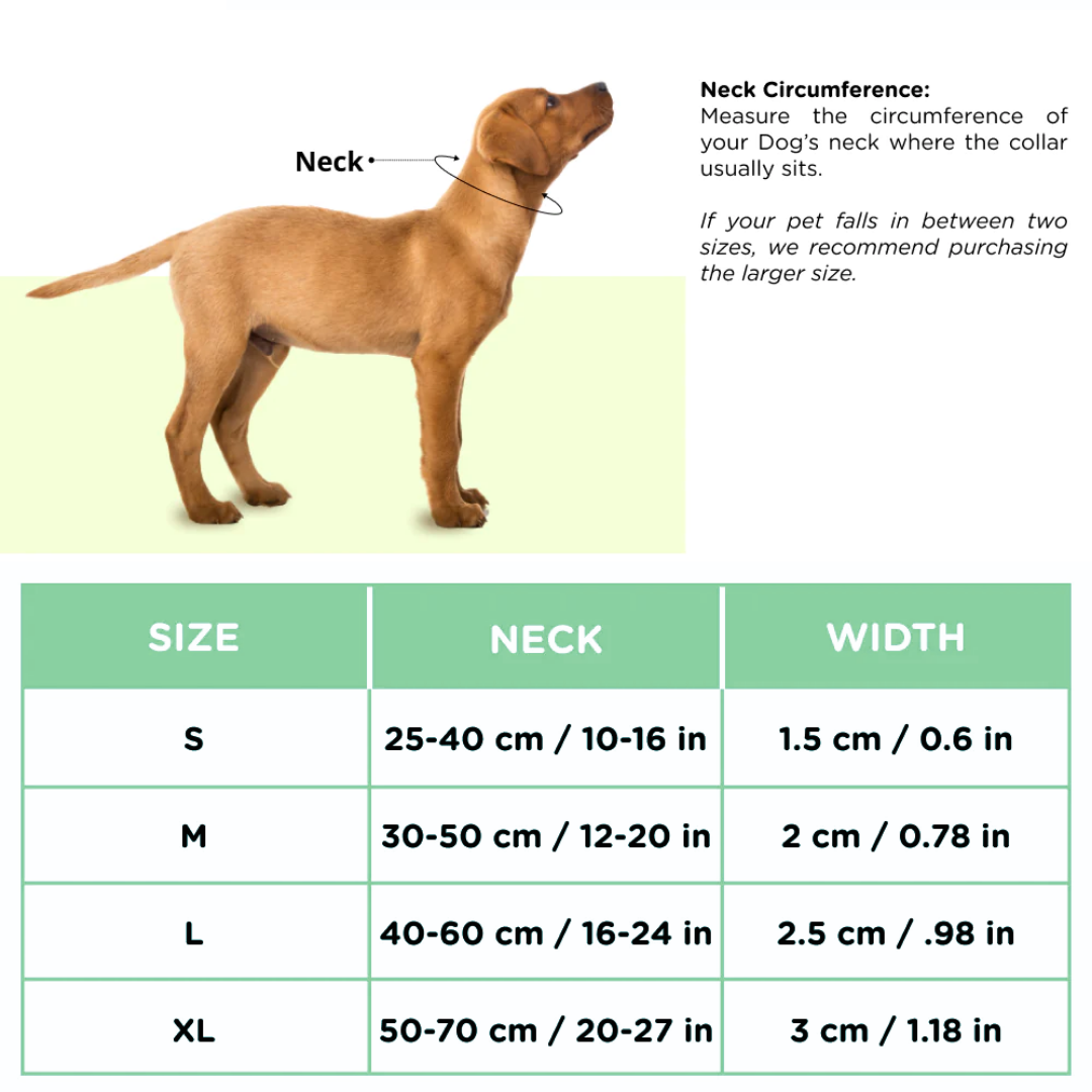 BASIL Padded Adjustable Dog Collar (Small)