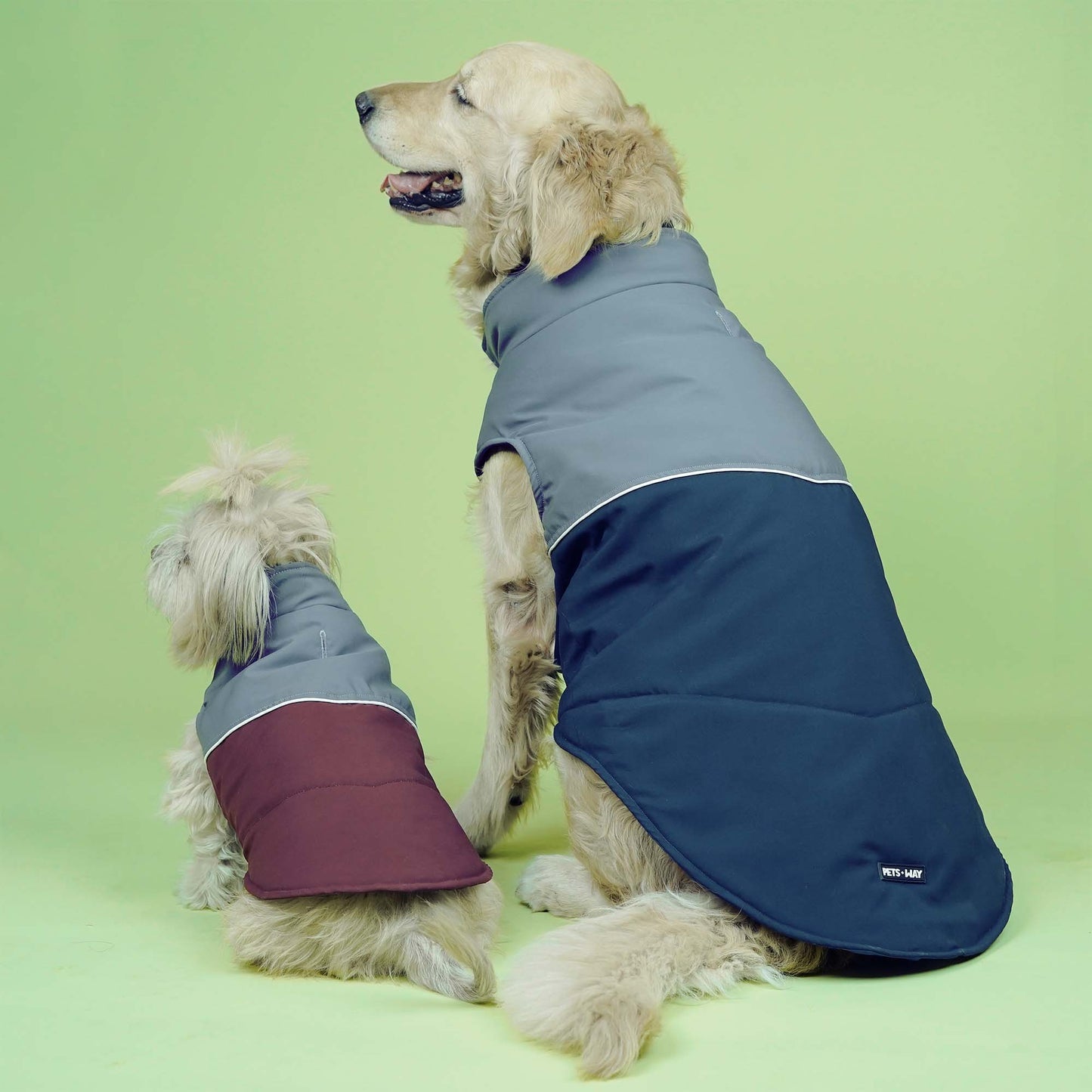 Frost- Navy Dog Jacket