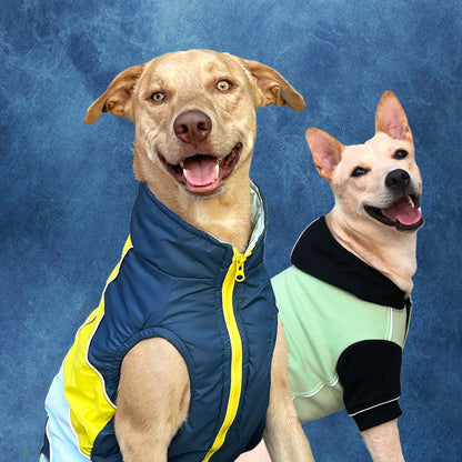 Winterberry Snow Flake Combo