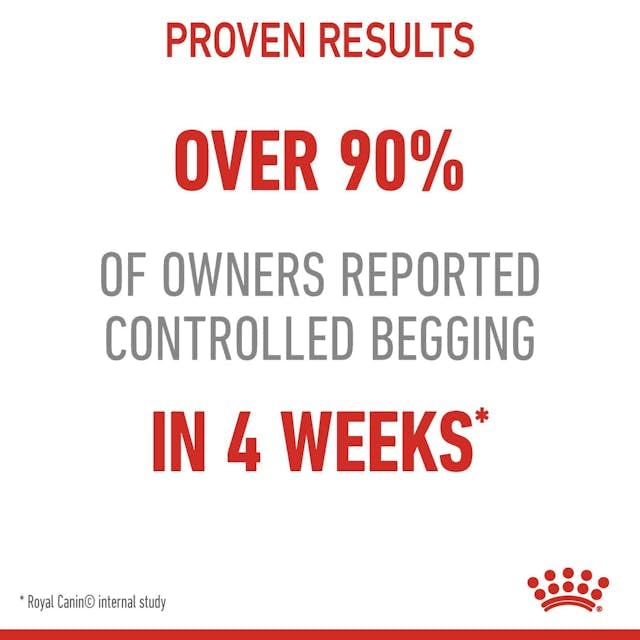 Royal Canin Skin & Hair Care for Adult Cats Dry Food