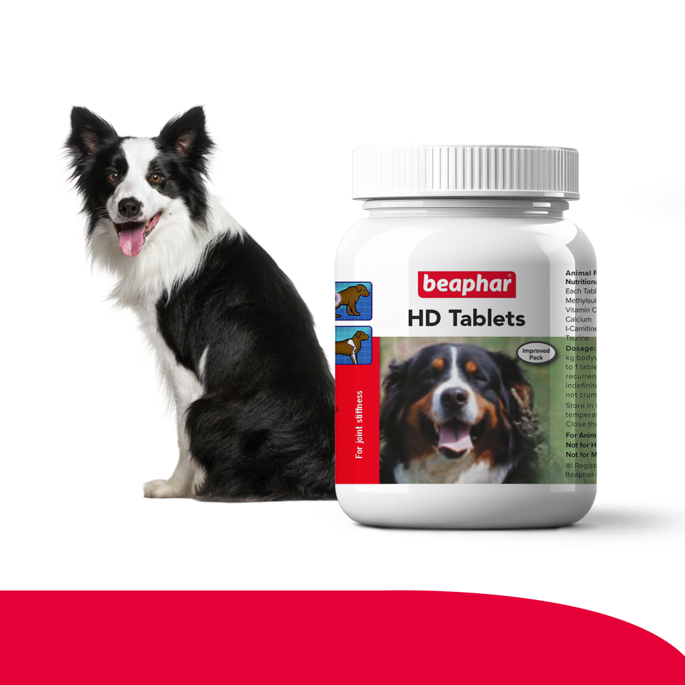 Beaphar HD Hip Dysplasia & Joint Problems Supplement Tablets for Dogs