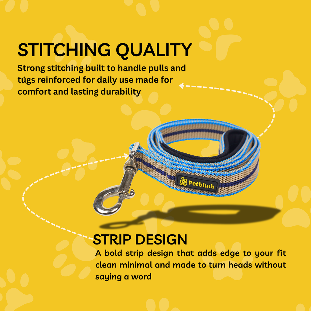 Petblush Tough Striped Leash For Dogs