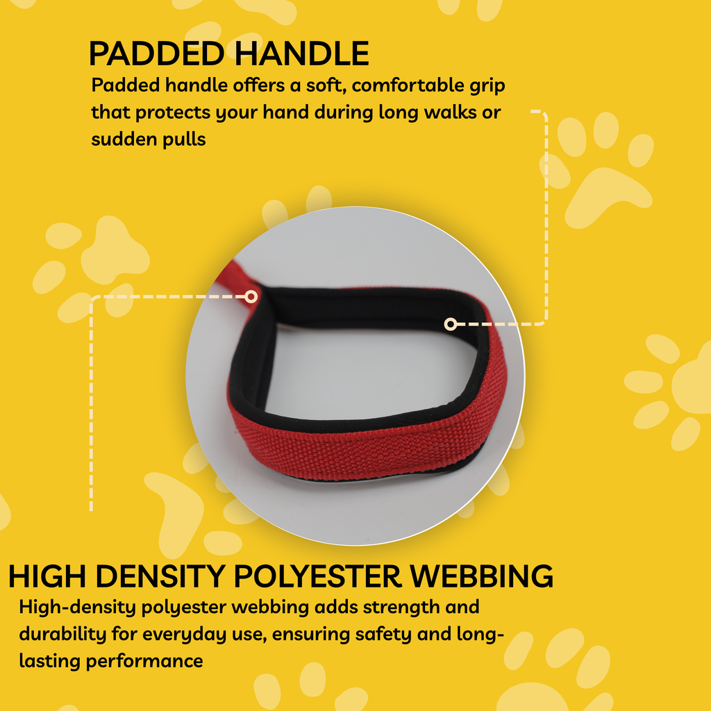 Petblush Everyday Dog Leash with Padded Handle