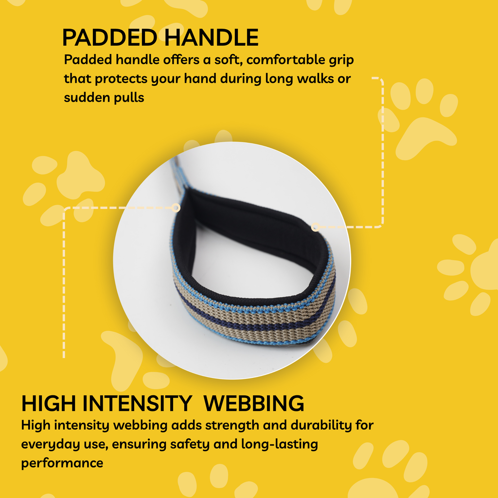 Petblush Tough Striped Leash For Dogs