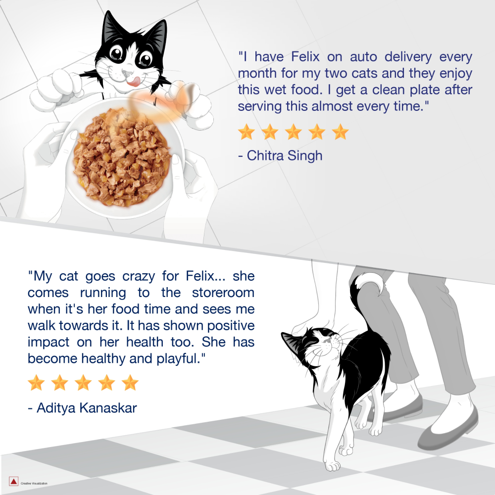 Purina Felix with Mackerel in Jelly Complete and Balanced Adult Cat Wet Food