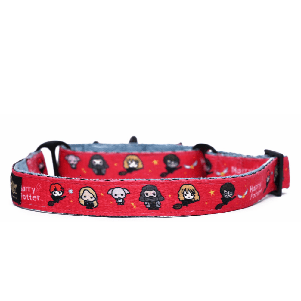 Harry Potter Friends Of Harry Potter Martingale Collar for Dogs