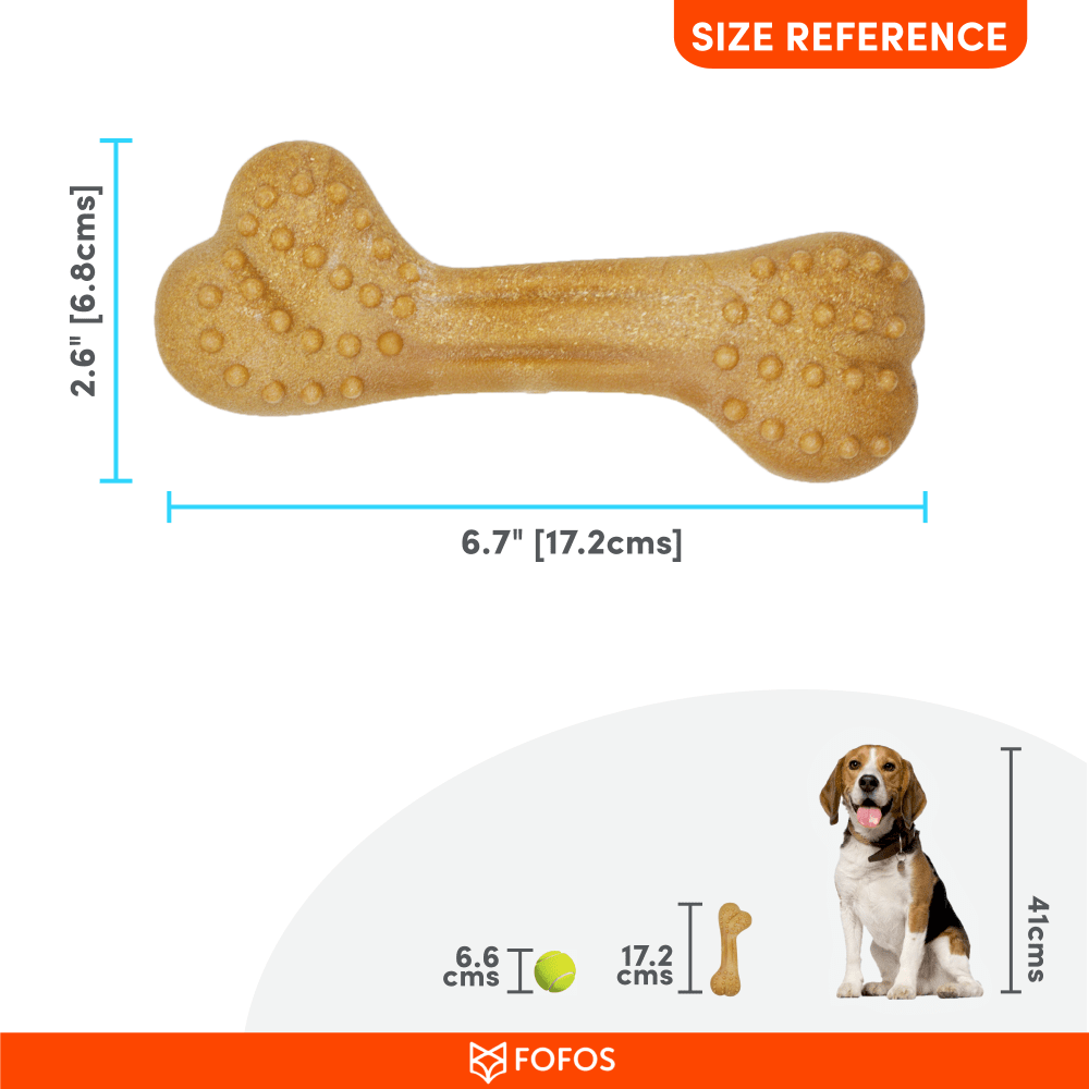 Fofos Woodplay Brush Bone Toy for Dogs | For Aggressive Chewers