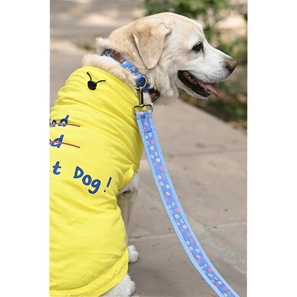 Mutt of Course Raining Donuts Leash for Dogs