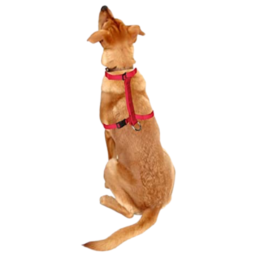 Trixie Classic H Harness for Dogs (Red)