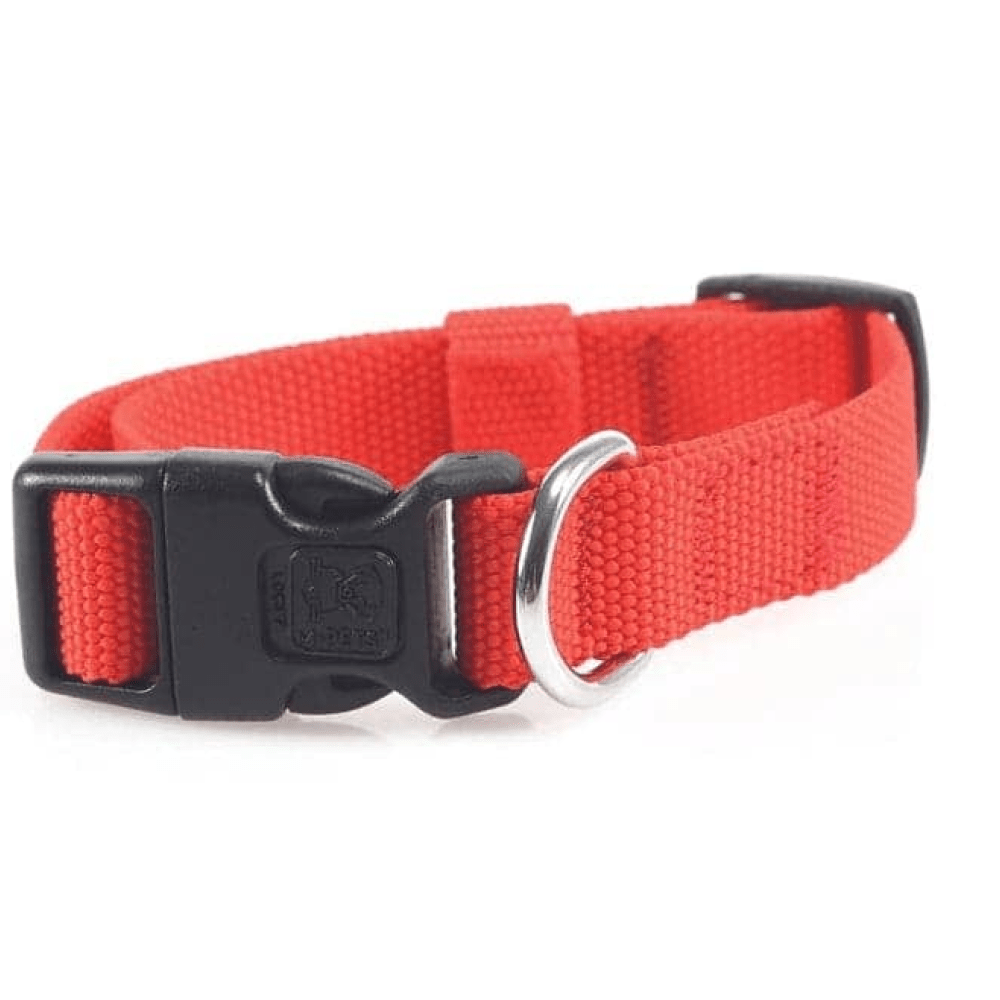 M Pets Jolly Eco Collar for Dogs (Red)