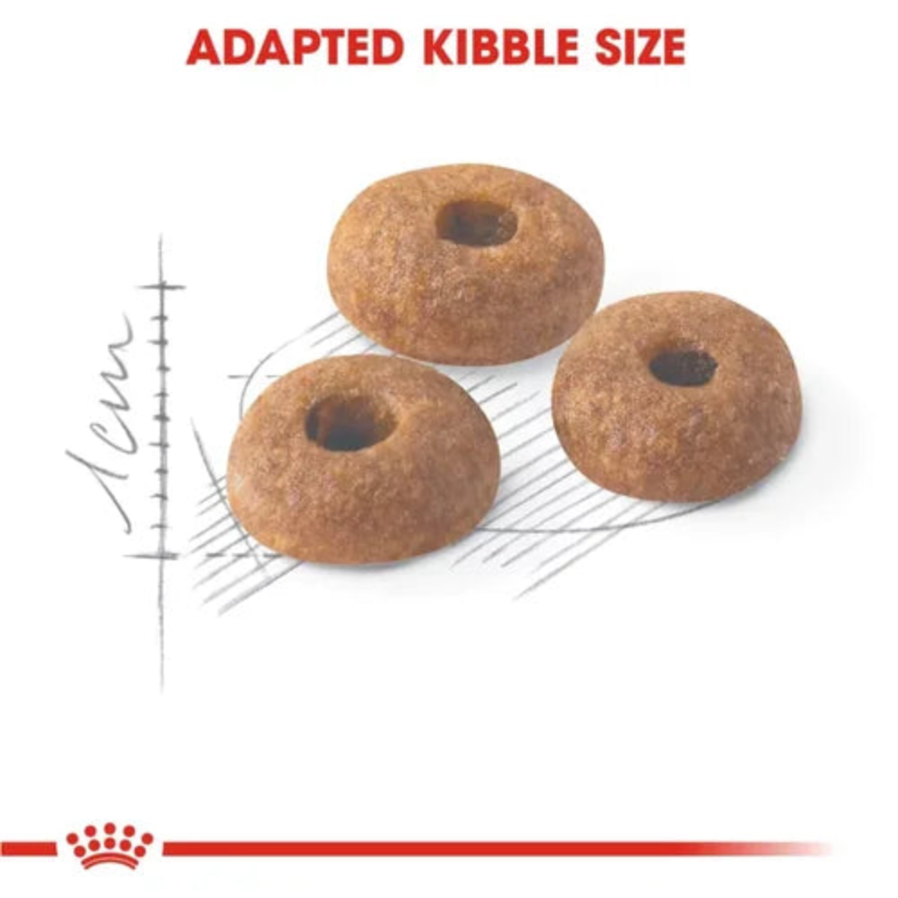 Royal Canin Fit 32 Regular for Adult Cat Dry Food