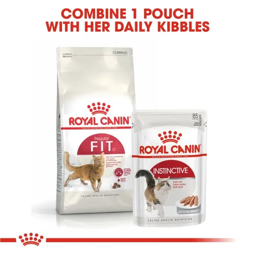 Royal Canin Fit 32 Regular for Adult Cat Dry Food