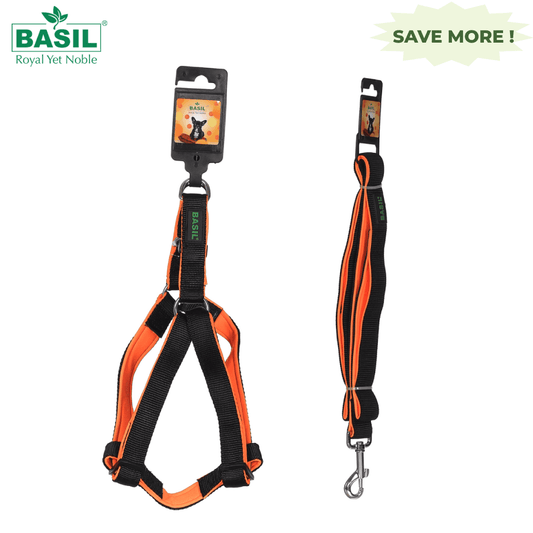 Basil Nylon Padded Adjustable Harness and Leash for Dogs Combo (Black)