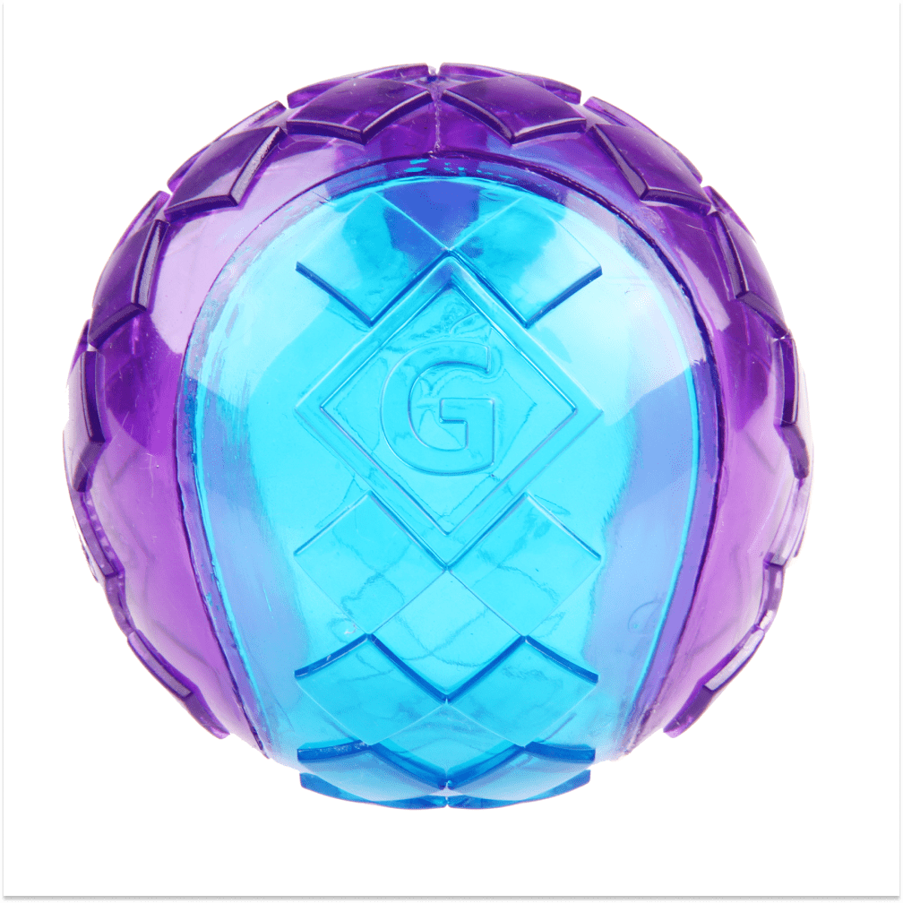 GiGwi Ball Squeaker Toy for Dogs (Blue/Purple) | For Medium Chewers