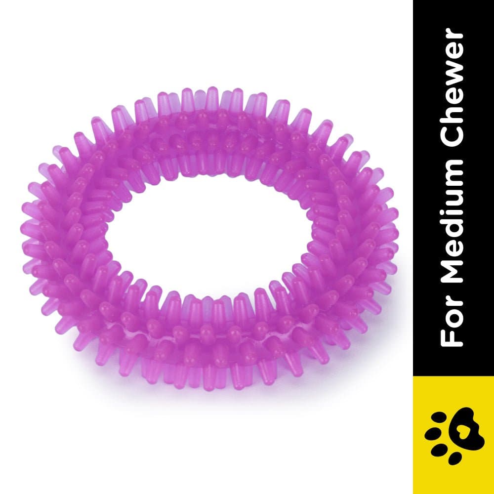 Basil Teething Ring Chew Toy for Dogs | For Medium Chewers