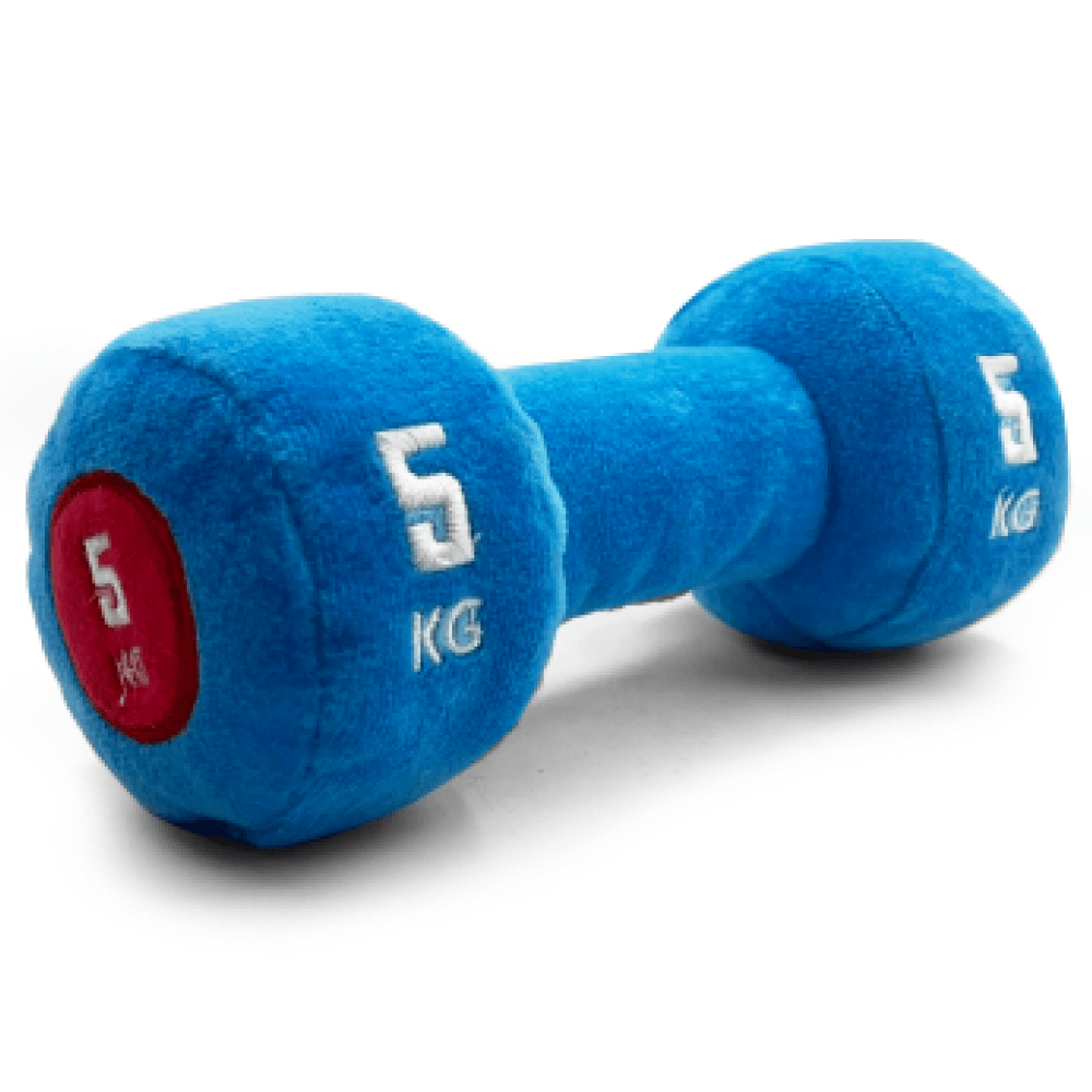 Goofy Tails Gym Series Dumbbell Plush Toy for Dogs (Blue)