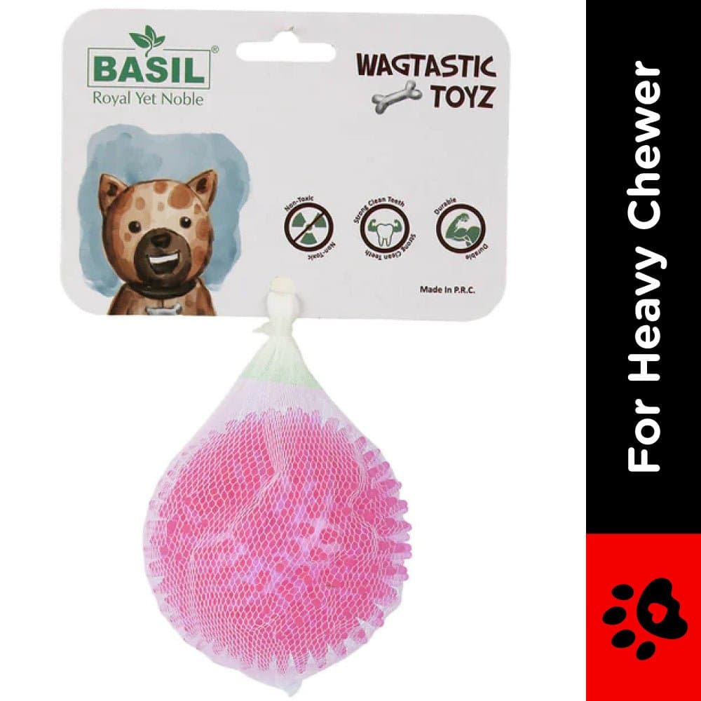 Basil Squeaky Rubber Ball Toy for Dogs