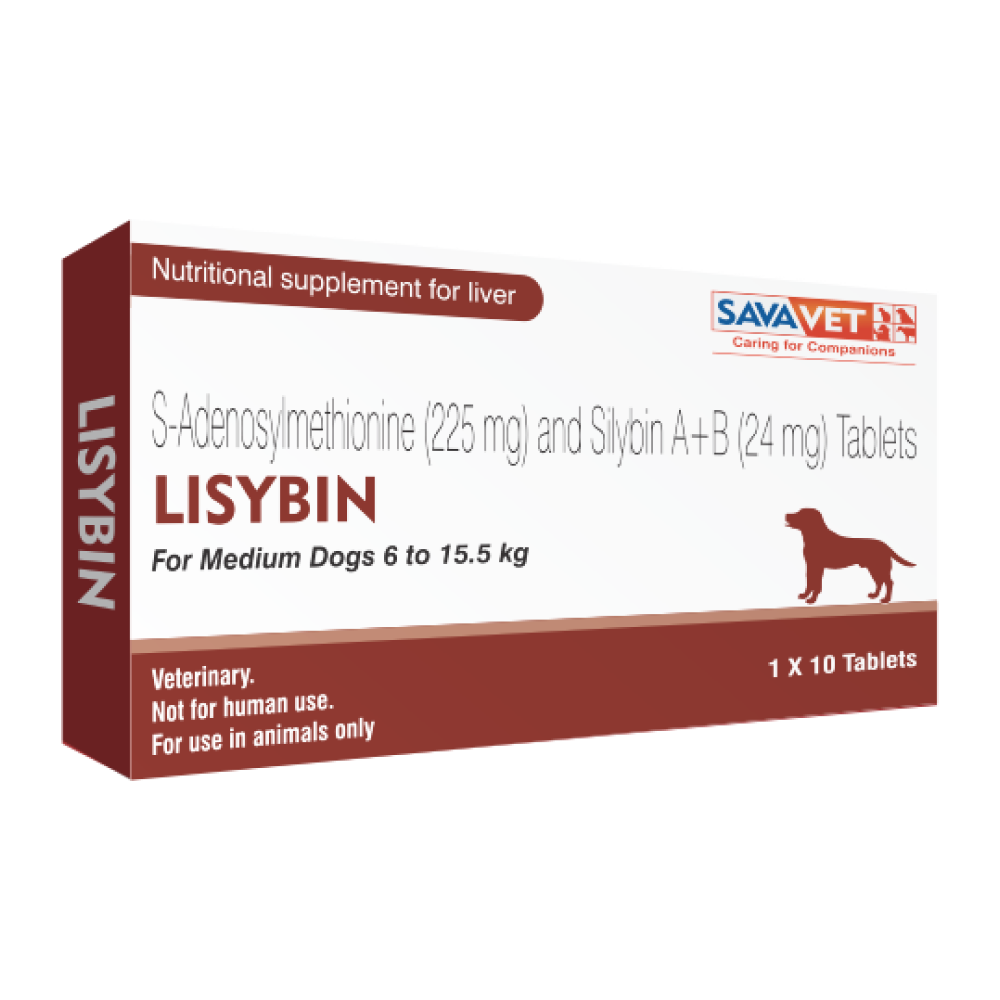 Savavet Lisybin Tablet (pack of 10 tablets)