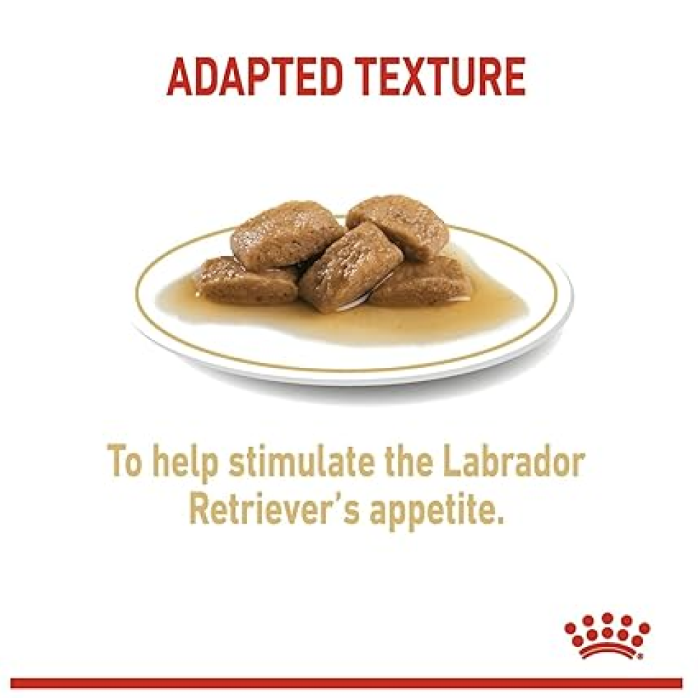 Royal Canin Labrador Retriever Adult Dog Wet Food