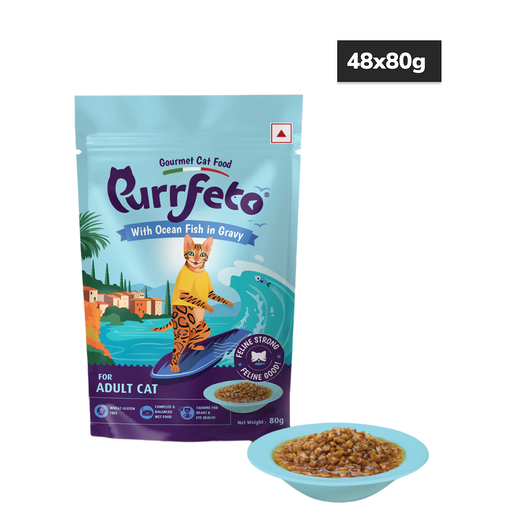 Purrfeto Ocean Fish in Gravy Adult Cat Wet Food