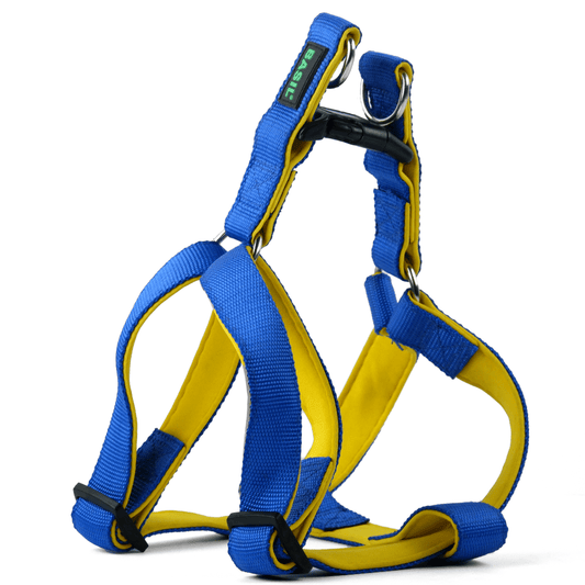 Basil Nylon Padded Adjustable Harness for Dogs (Blue)