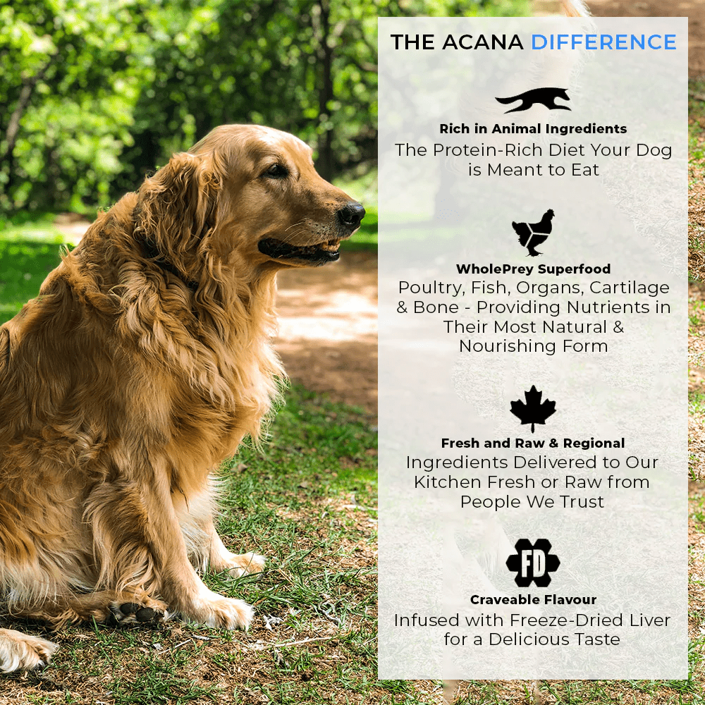 Acana Adult Large Breed Dog Dry Food