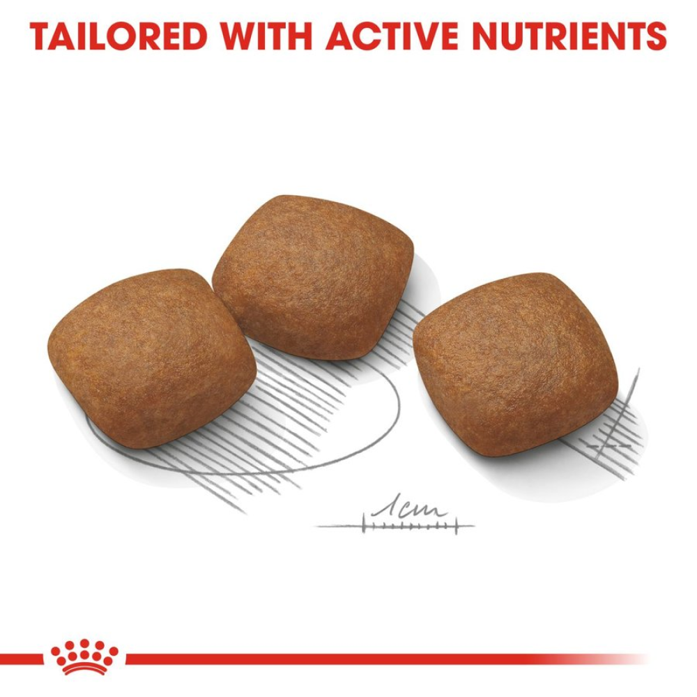 Royal Canin Joint Care Maxi Adult Dog Dry Food