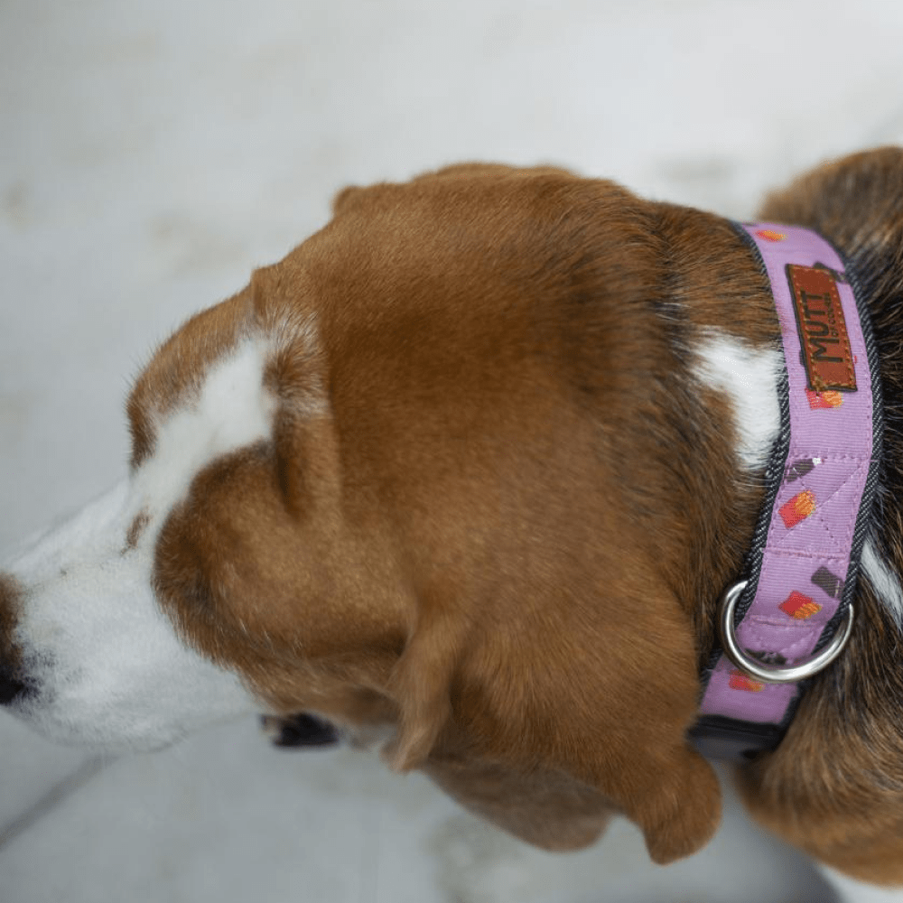 Mutt of Course Cola & Fries Collar for Dogs