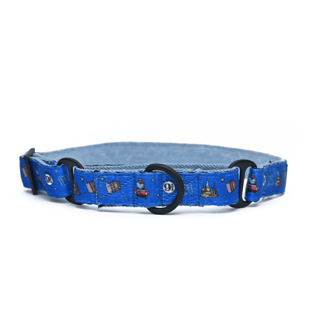 Harry Potter Welcome To Hogwarts Martingale Collar for Dogs
