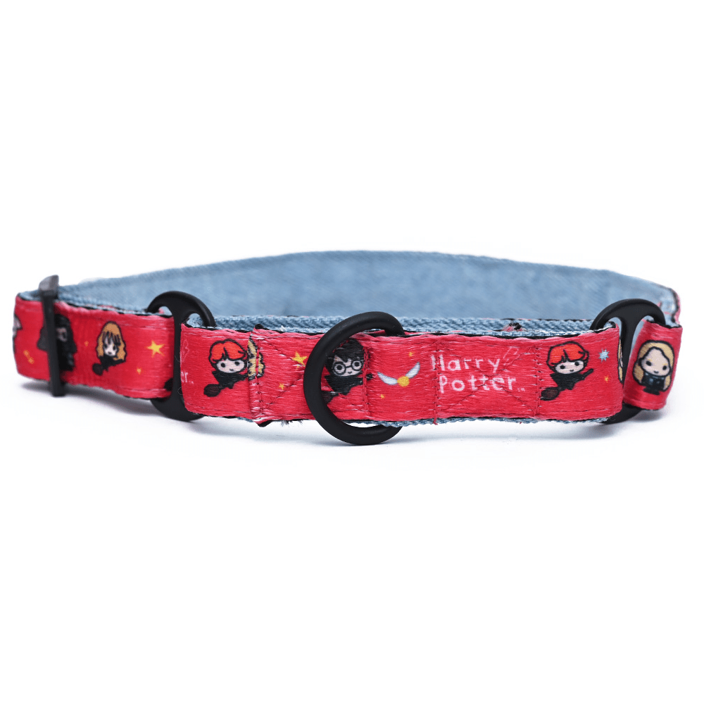 Harry Potter Friends Of Harry Potter Martingale Collar for Dogs