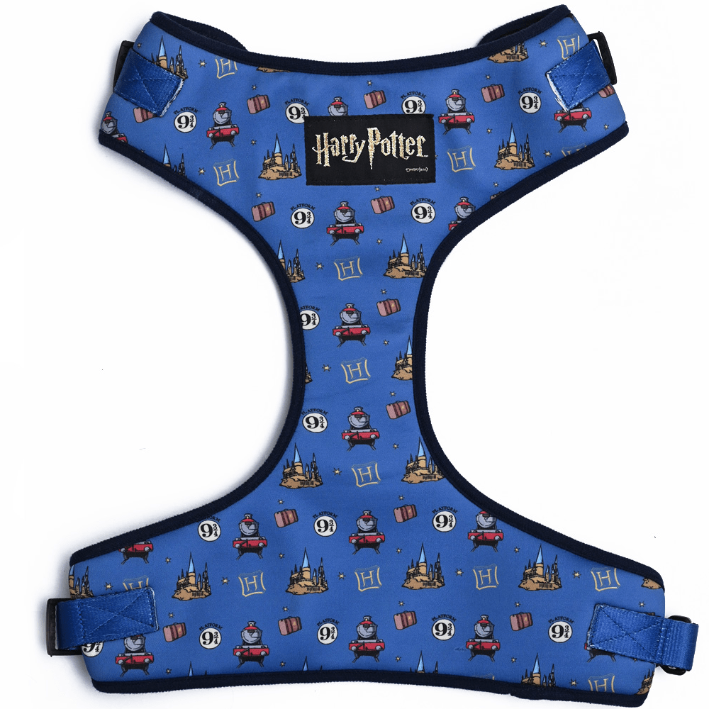 Harry Potter Welcome To Hogwarts Harness for Dogs