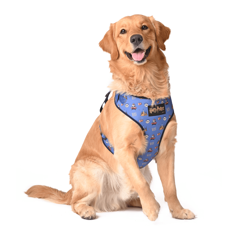 Harry Potter Welcome To Hogwarts Harness for Dogs