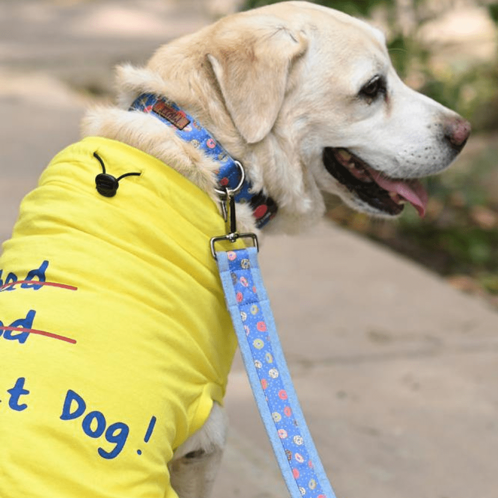 Mutt of Course Donut Leash for Dogs