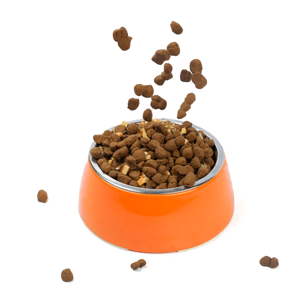 Basil Solid Color Melamine Bowl for Dogs and Cats (Orange)