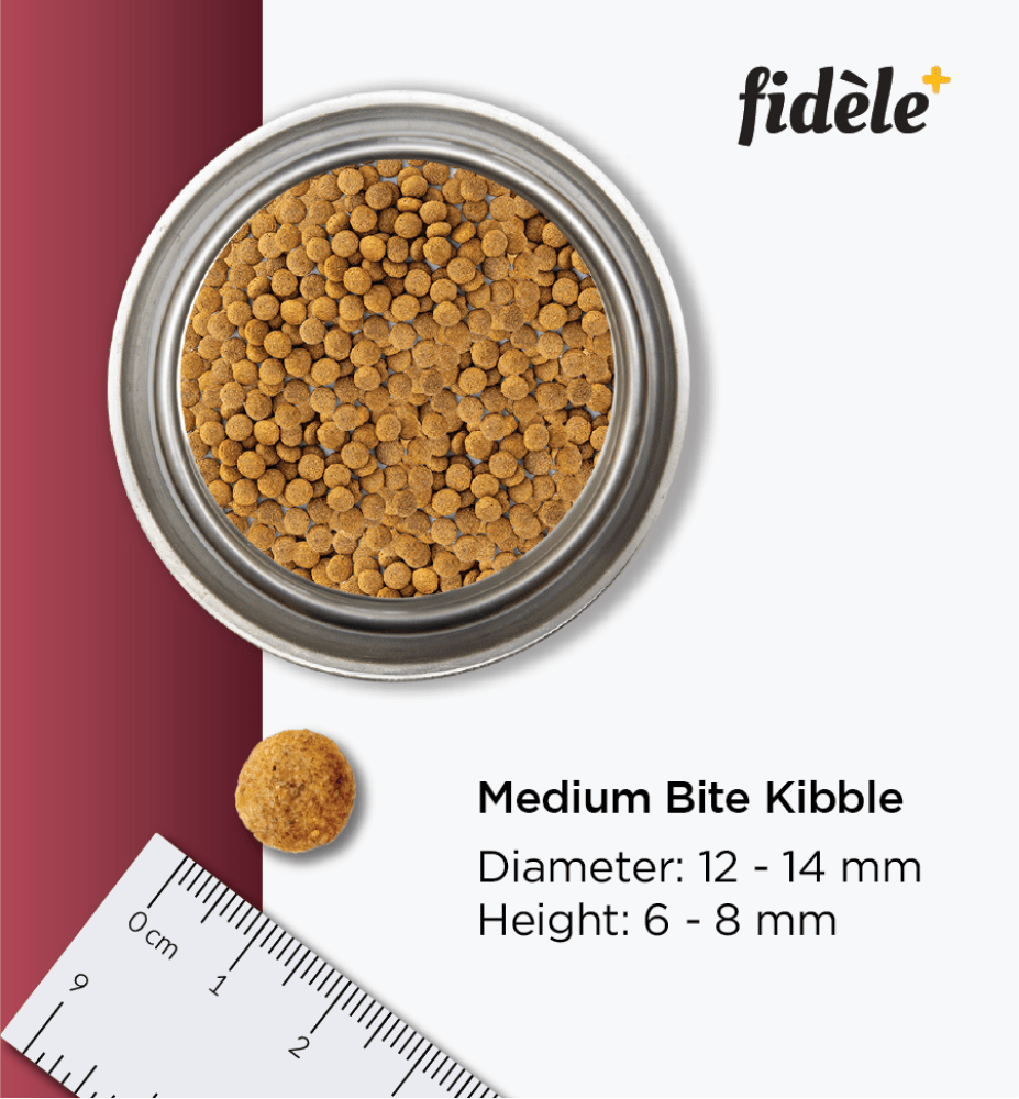 Fidele Plus Adult Light & Senior Dog Dry Food