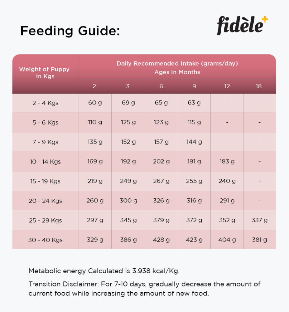 Fidele Plus Small and Medium Puppy Dry Food