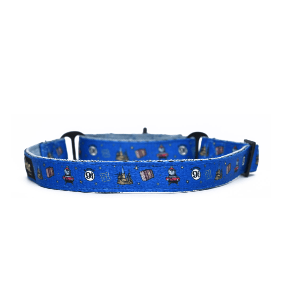 Harry Potter Welcome To Hogwarts Martingale Collar for Dogs