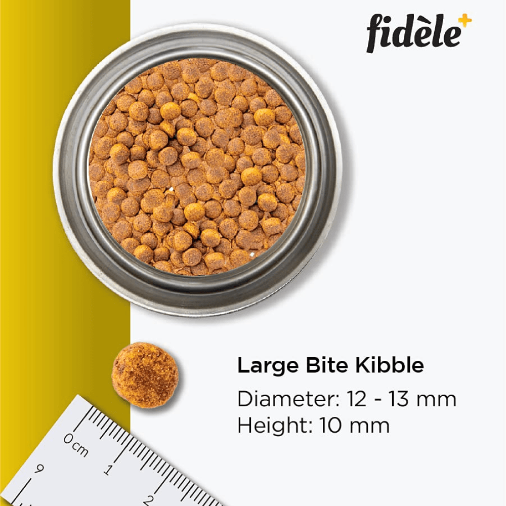 Fidele Plus Large Puppy Dry Food