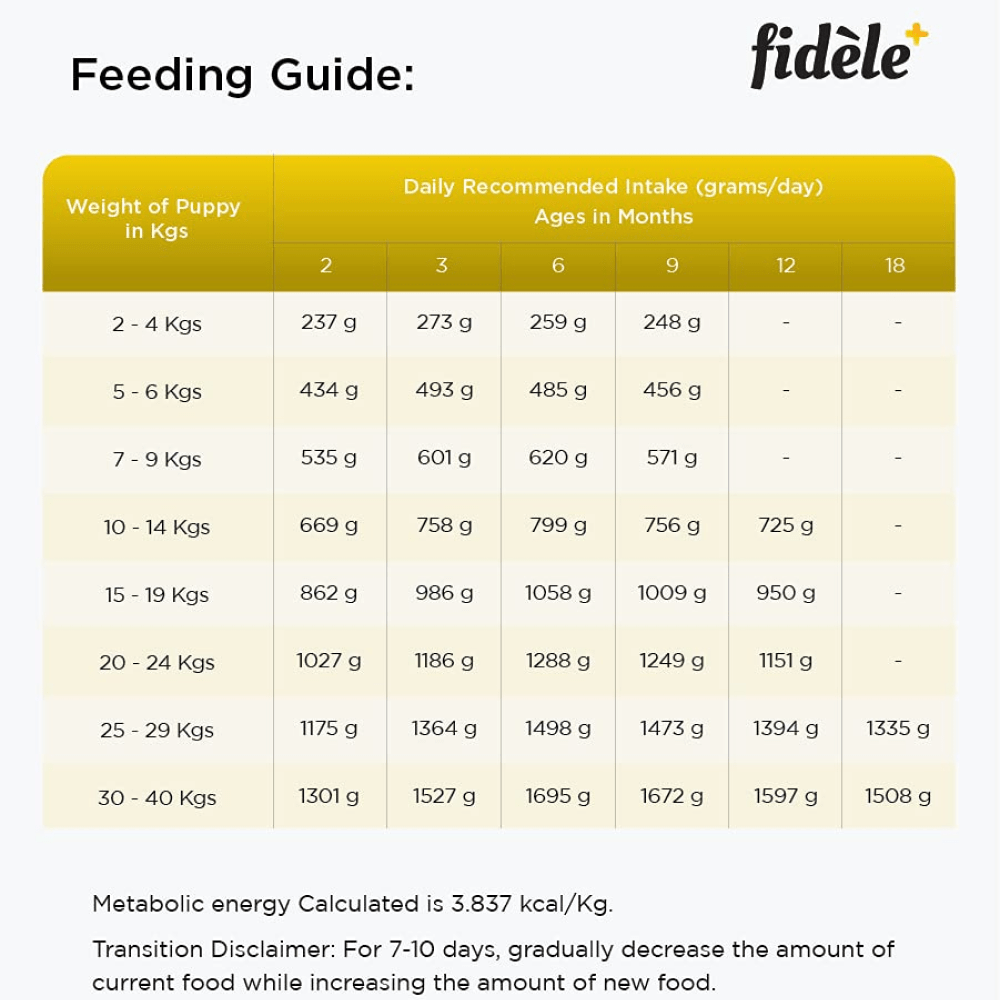 Fidele Plus Large Puppy Dry Food