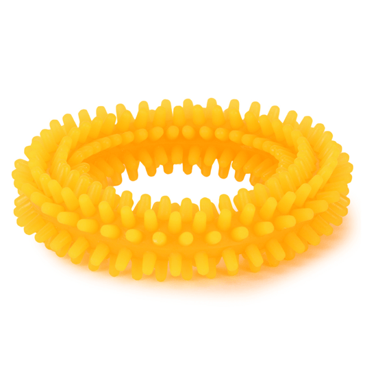 Basil Teething Ring Chew Toy for Dogs | For Medium Chewers