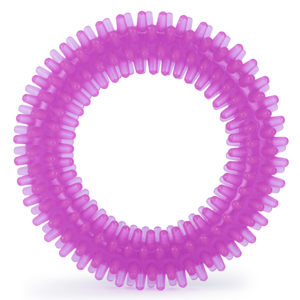 Basil Teething Ring Chew Toy for Dogs | For Medium Chewers