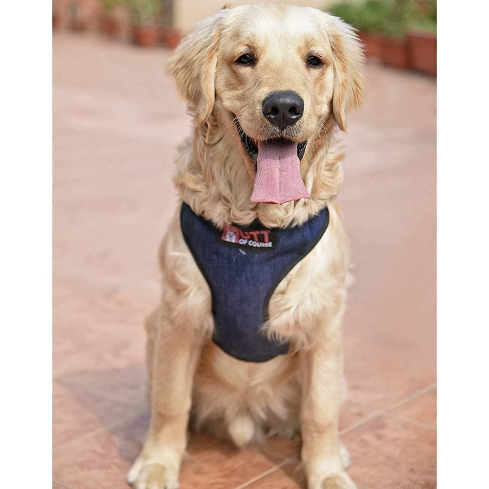 Mutt of Course Denim Harness for Dog (Dark Blue)