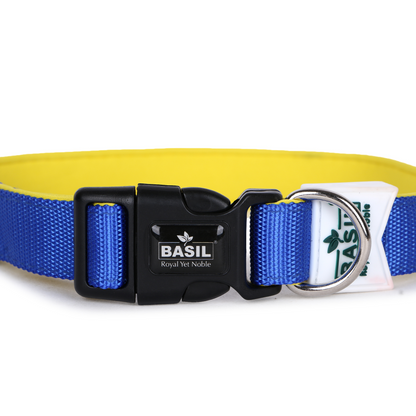 Basil Nylon Padded Collar for Dogs (Blue)