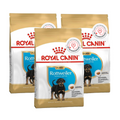 Royal Canin Rottweiler Puppy Dog Dry Food